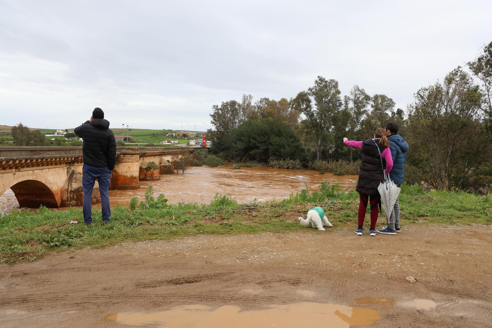 Imágenes del río Tinto a su paso por Niebla tras la borrasca Laurence
