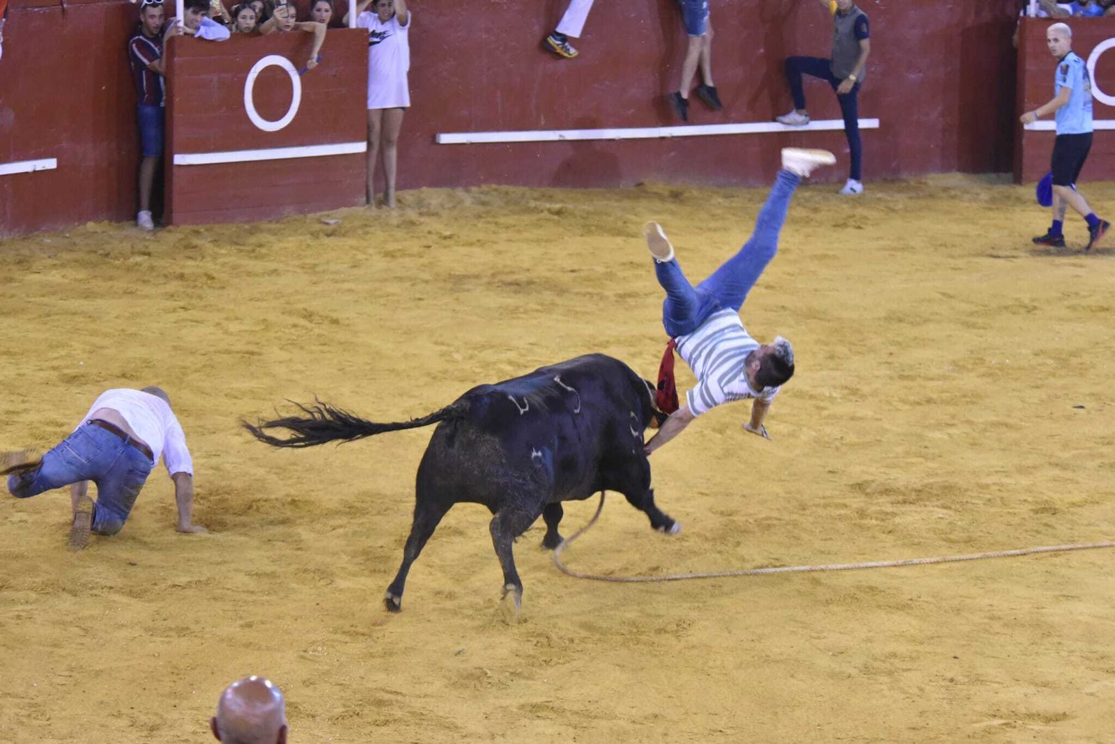 El Toro del Aguardiente revuelca a un mozo en la plaza de toros de San Roque