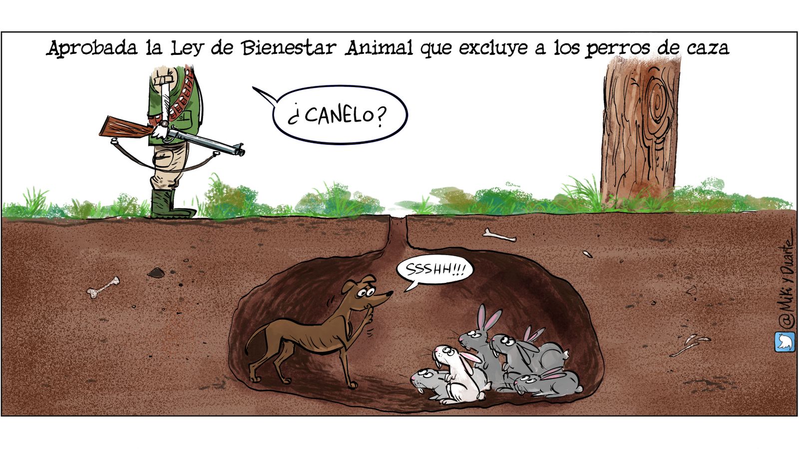 La Ley de Bienestar Animal