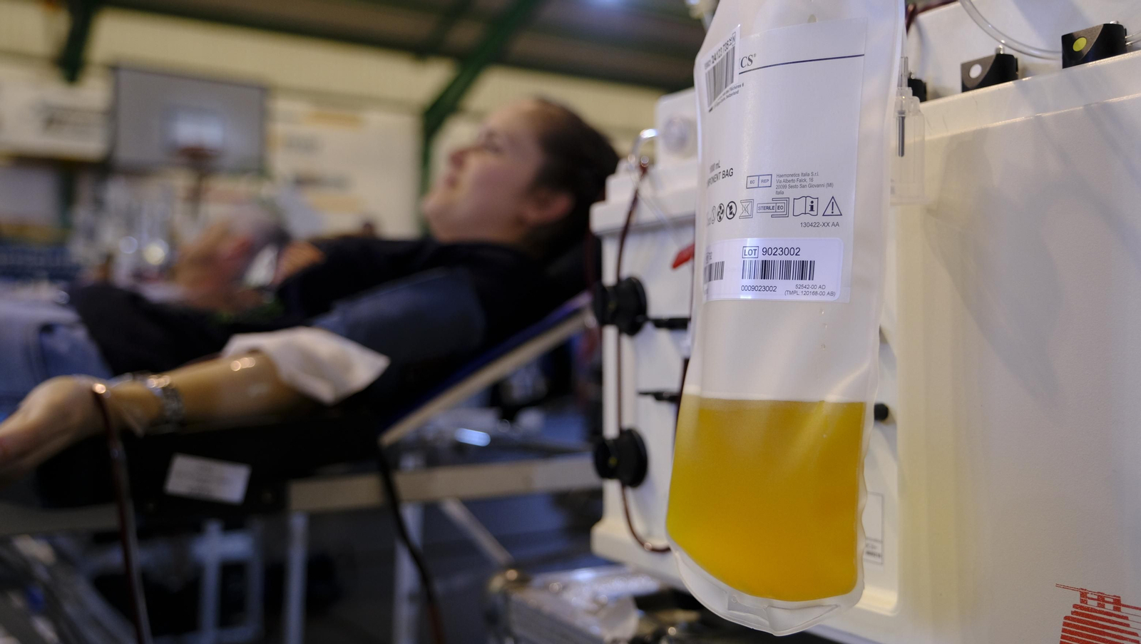 Imágenes de la donación colectiva de sangre y plasma en el Pabellón Rafael Florido