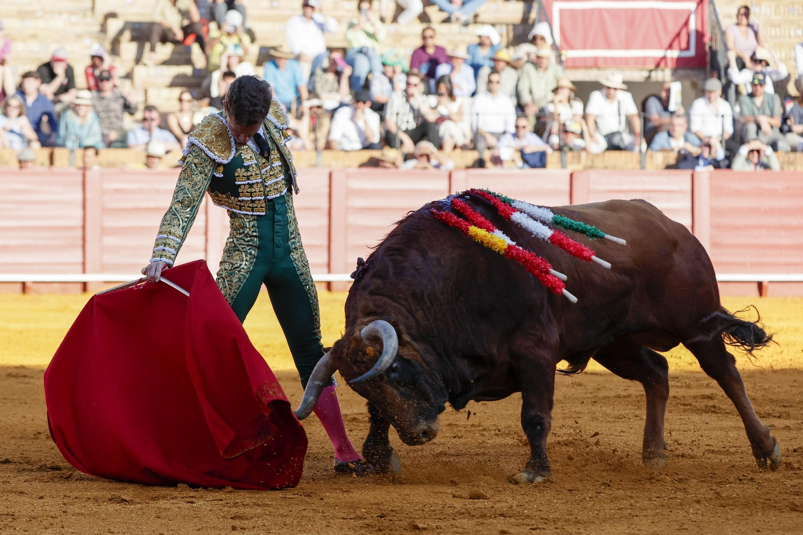 Las imágenes del festejo