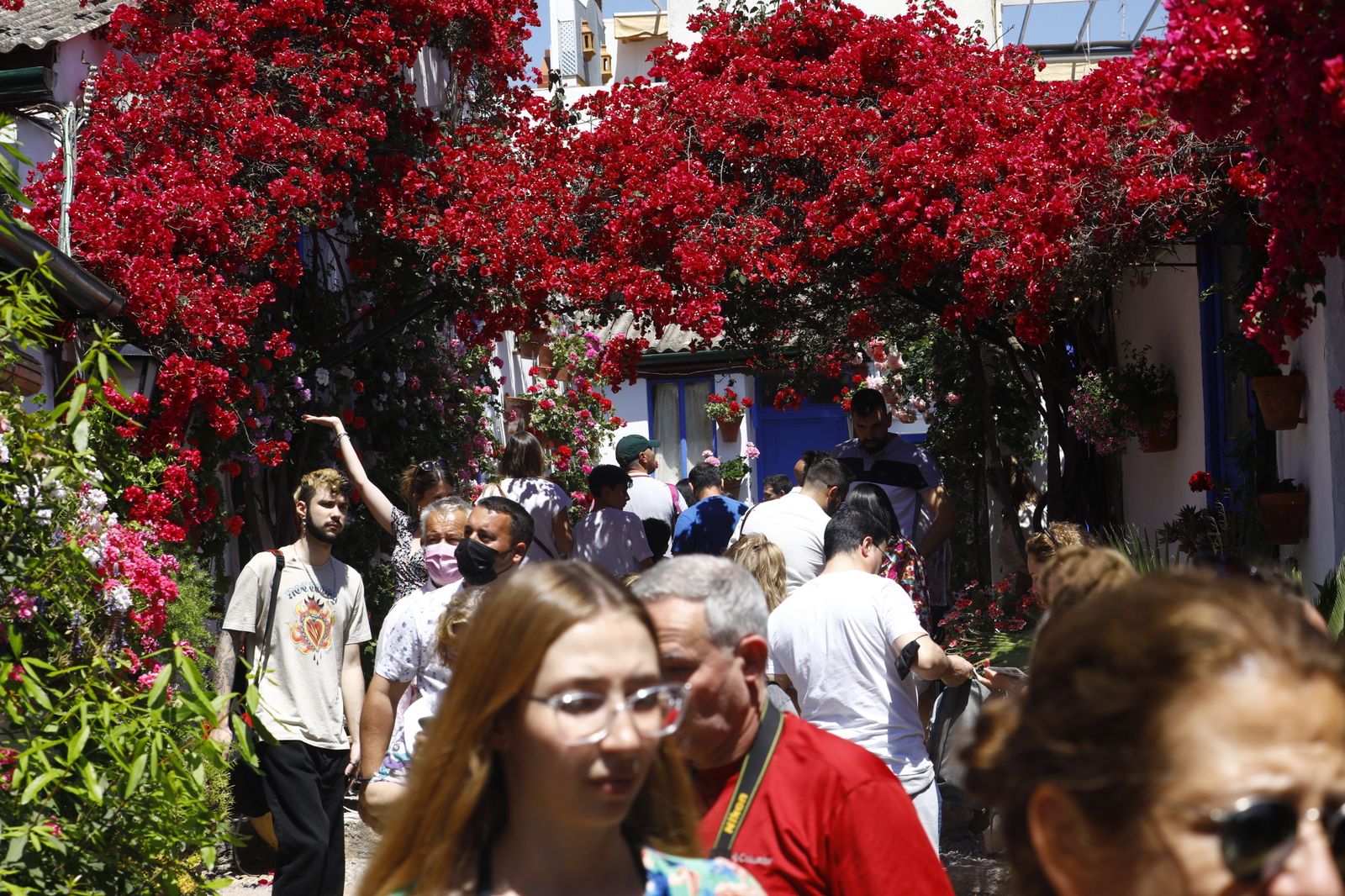 El primer sábado de Patios de Córdoba, en imágenes