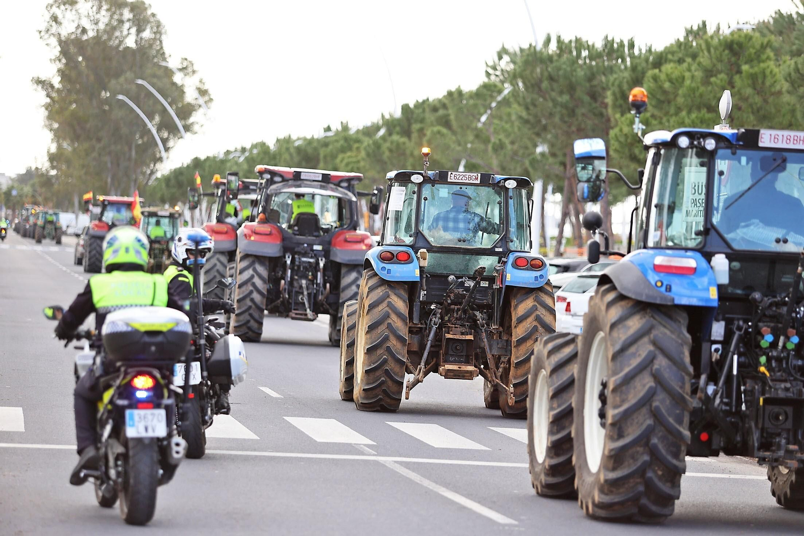 El campo de Huelva se echa a la calle este lunes: 5.000 personas cortarán las carreteras por las mejoras del sector