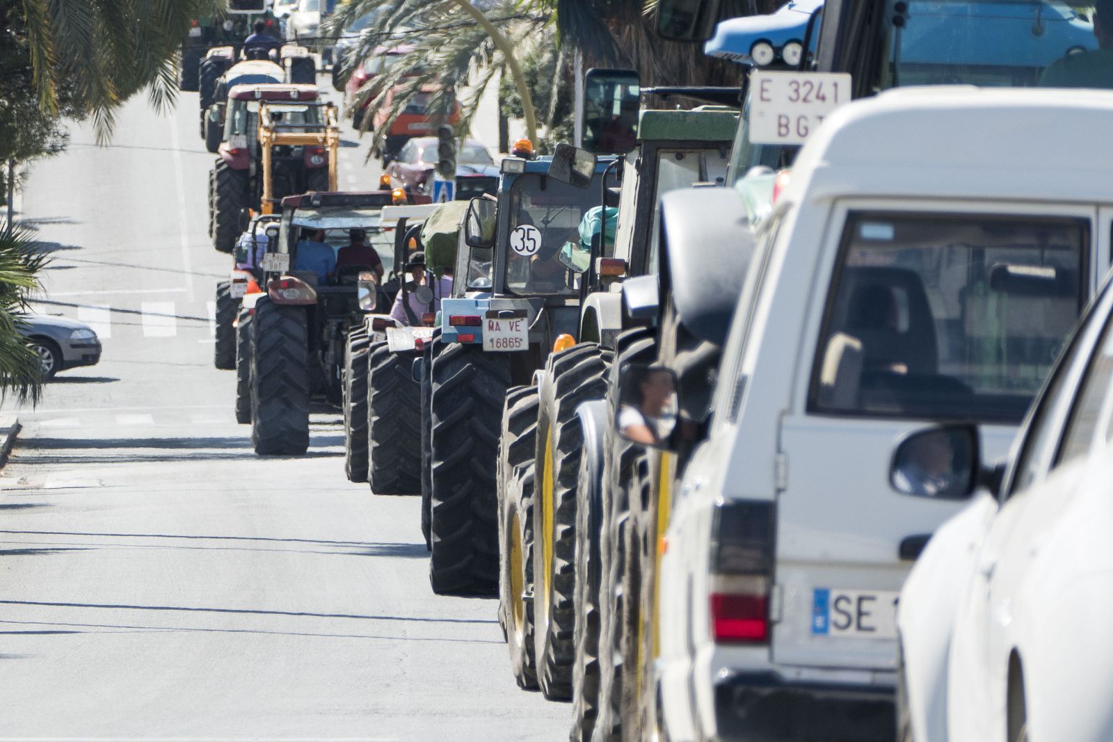 Decenas de tractores, acompañados de coches particulares y personas a pie recorren las calles de Aznalcóllar.