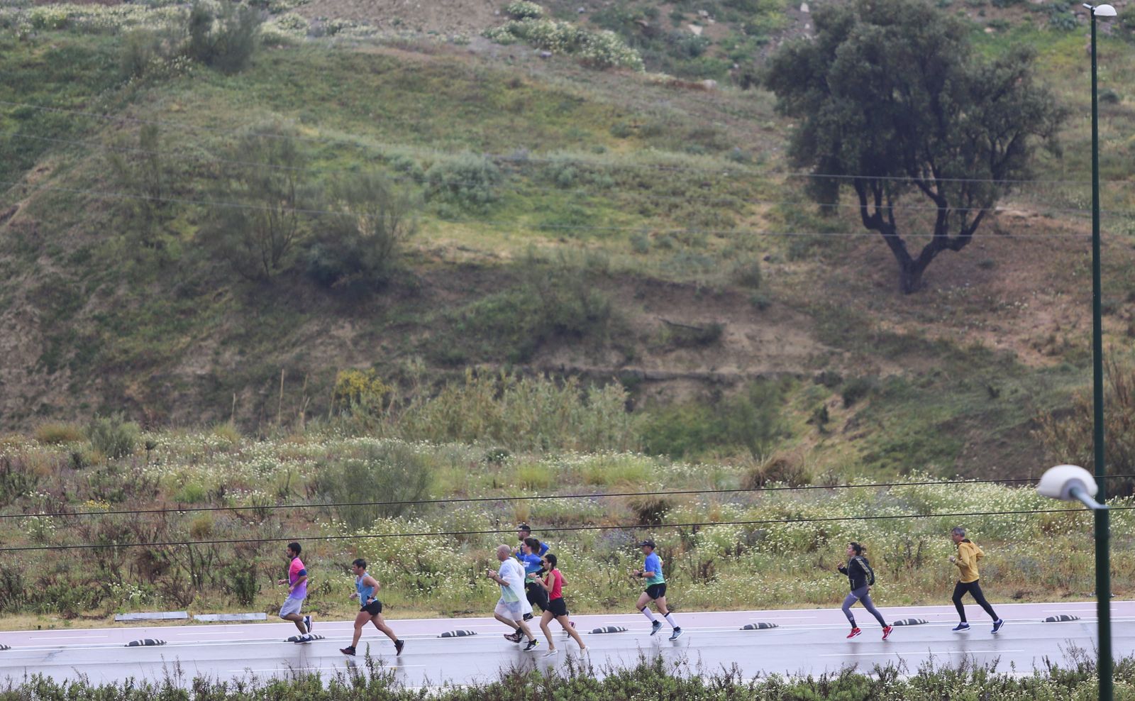 Las fotos de la Carrera Popular We Are Ready Universidad de Málaga