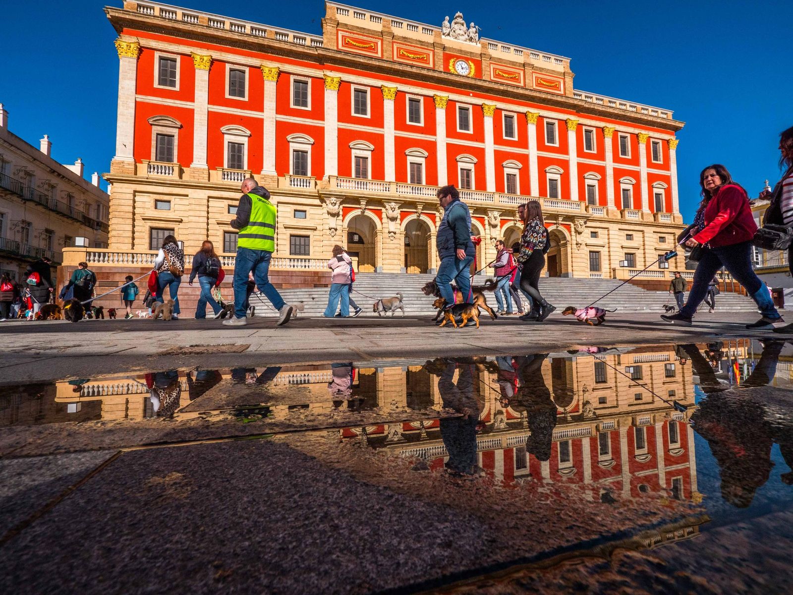 Las imágenes de San Antón 2025 en San Fernando
