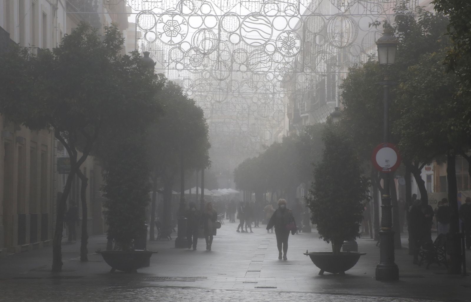Imágenes de Jerez bajo la niebla