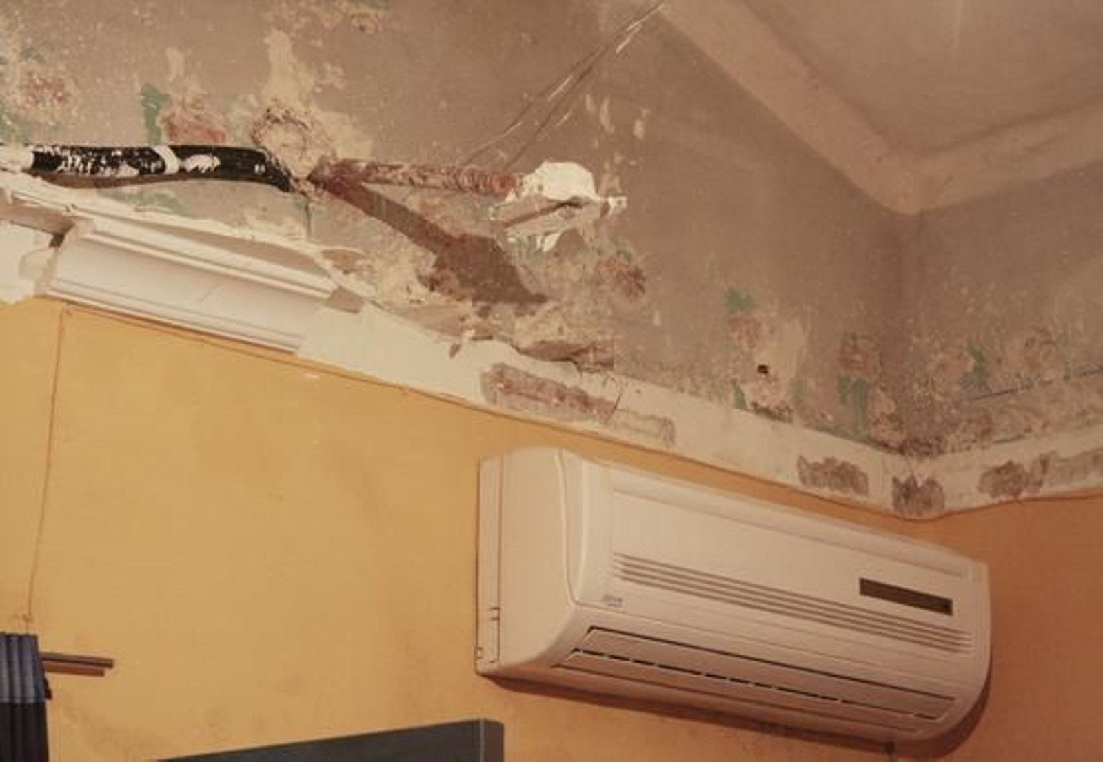 Foto: Victoria Hidalgo