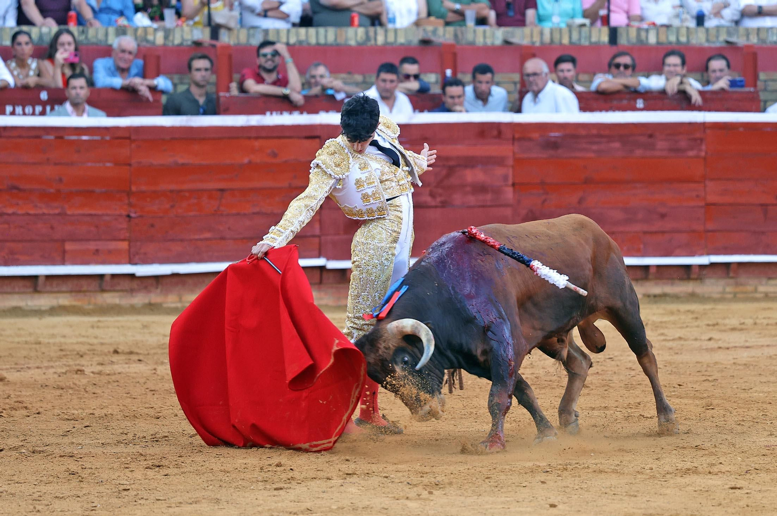 Toros La Merced 2025: Imágenes de la Novillada de Javier Zulueta, Cristian González y Carlos Tirado