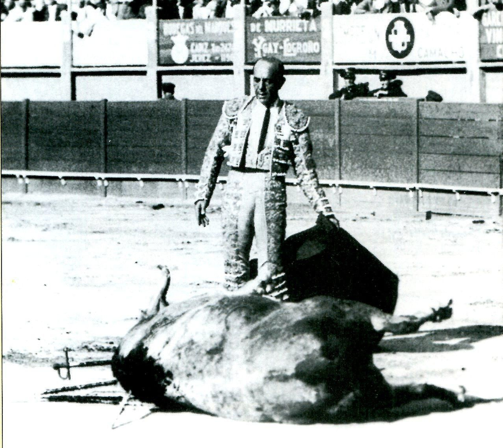 Sánchez Mejías, envejecido, en la tarde de su reaparición en la plaza de Cádiz.
