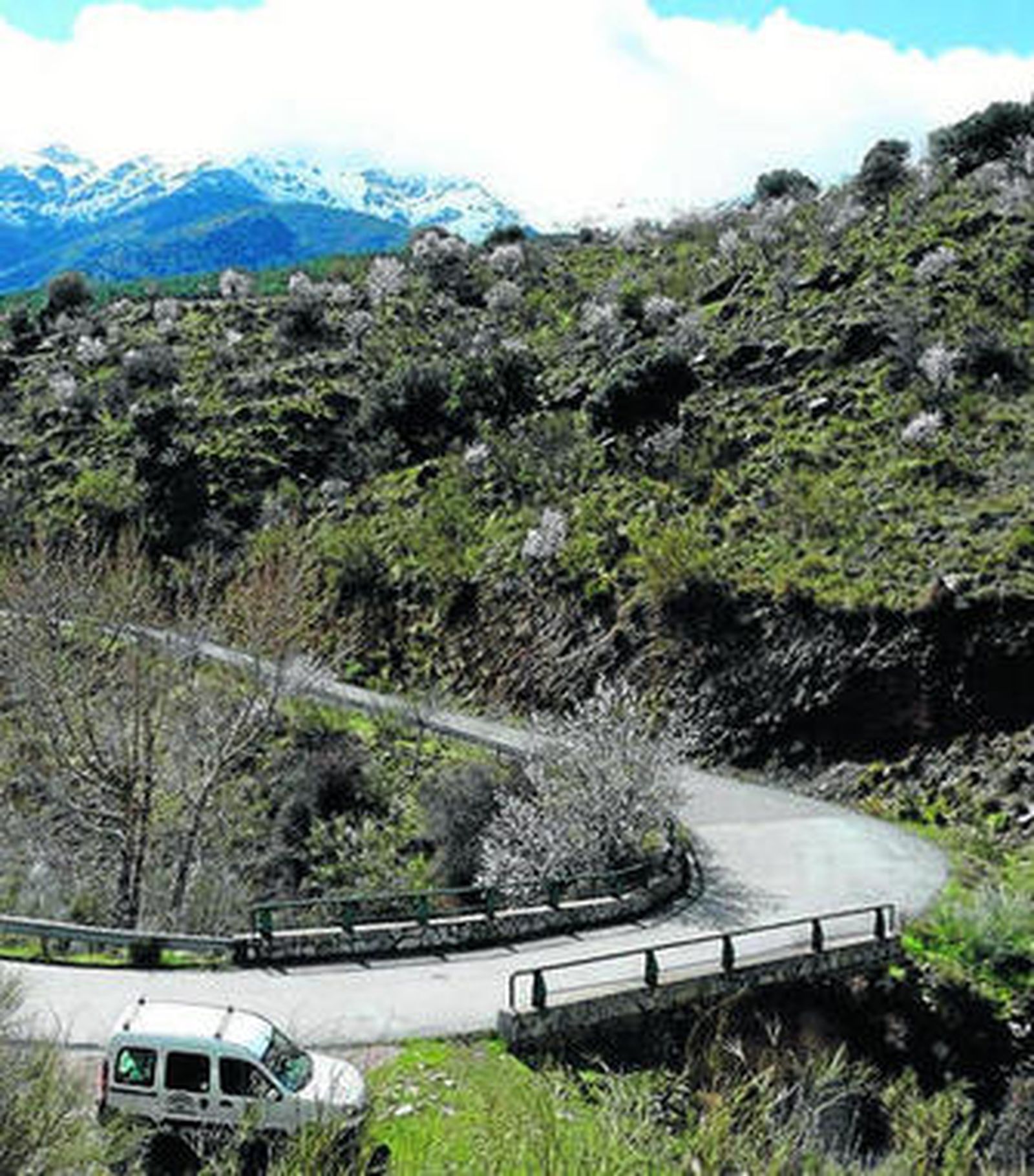 Zona donde se ha producido el daño.