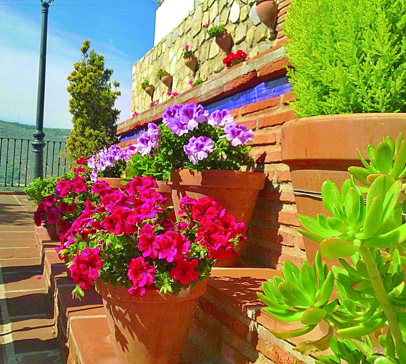 Corral de la Pacheca de Iznájar