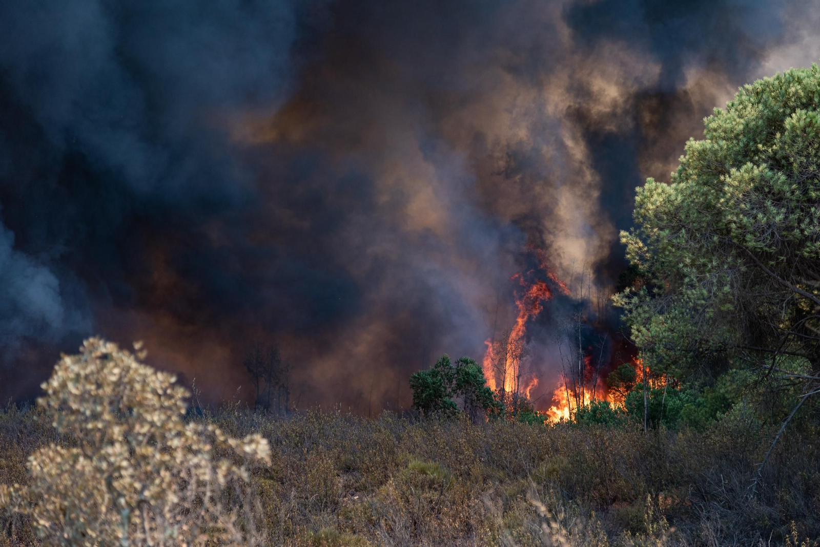 Imágenes del incendio de Almonaster a su paso por Zalamea