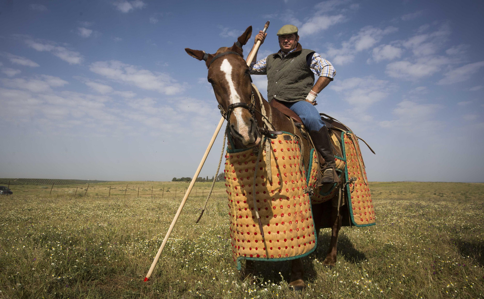 La celebración del 175 aniversario de la ganadería Miura, en imágenes