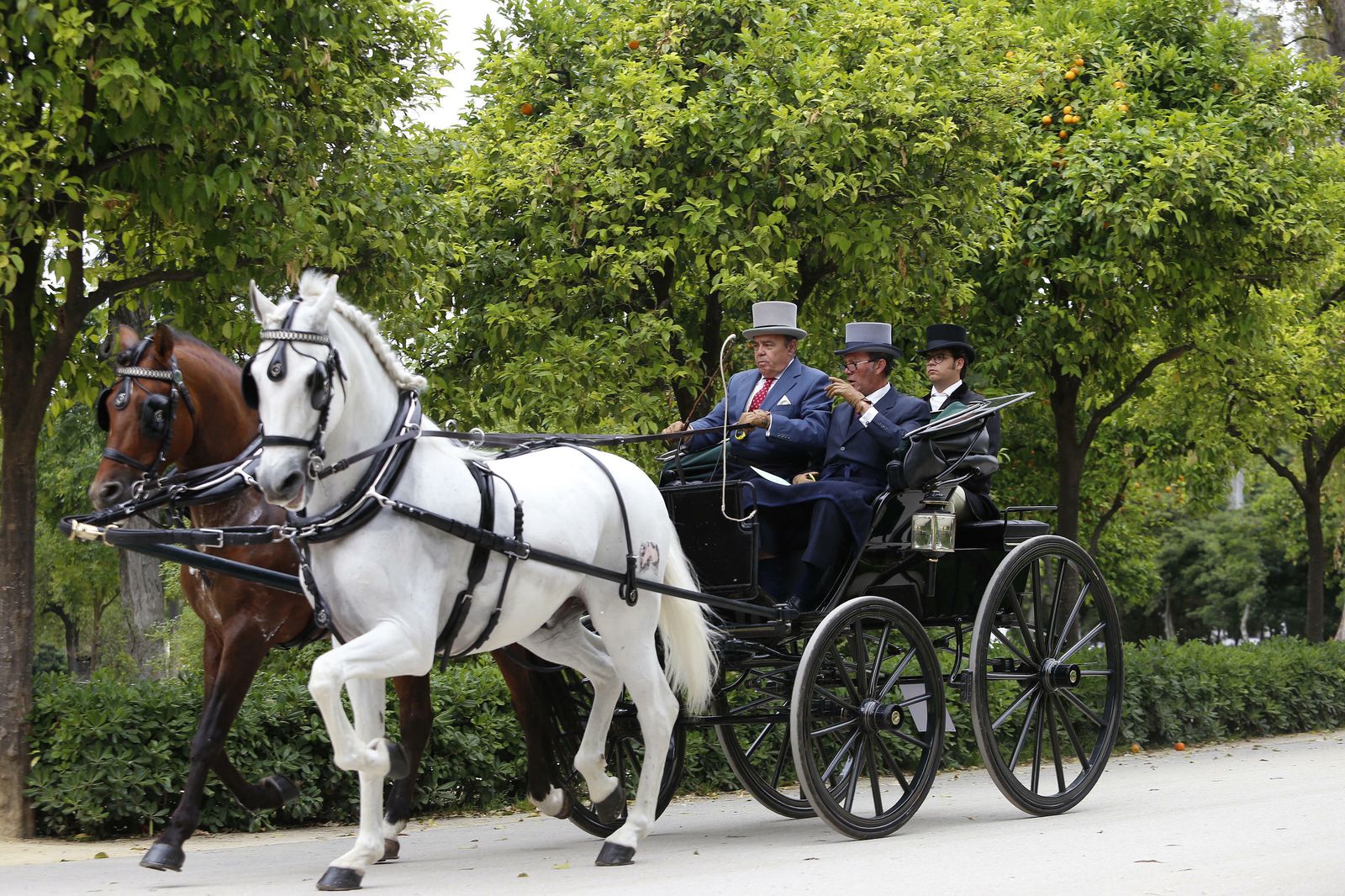 El concurso de enganches, en imágenes