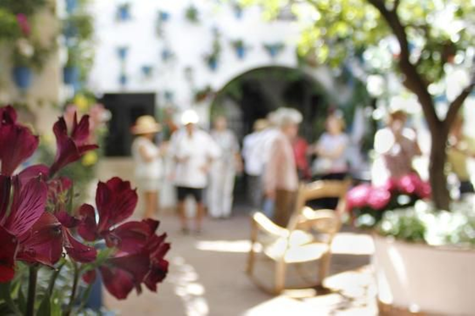 Don Rodrigo 7.

Foto: Alex Gallegos / Macarena Gassin