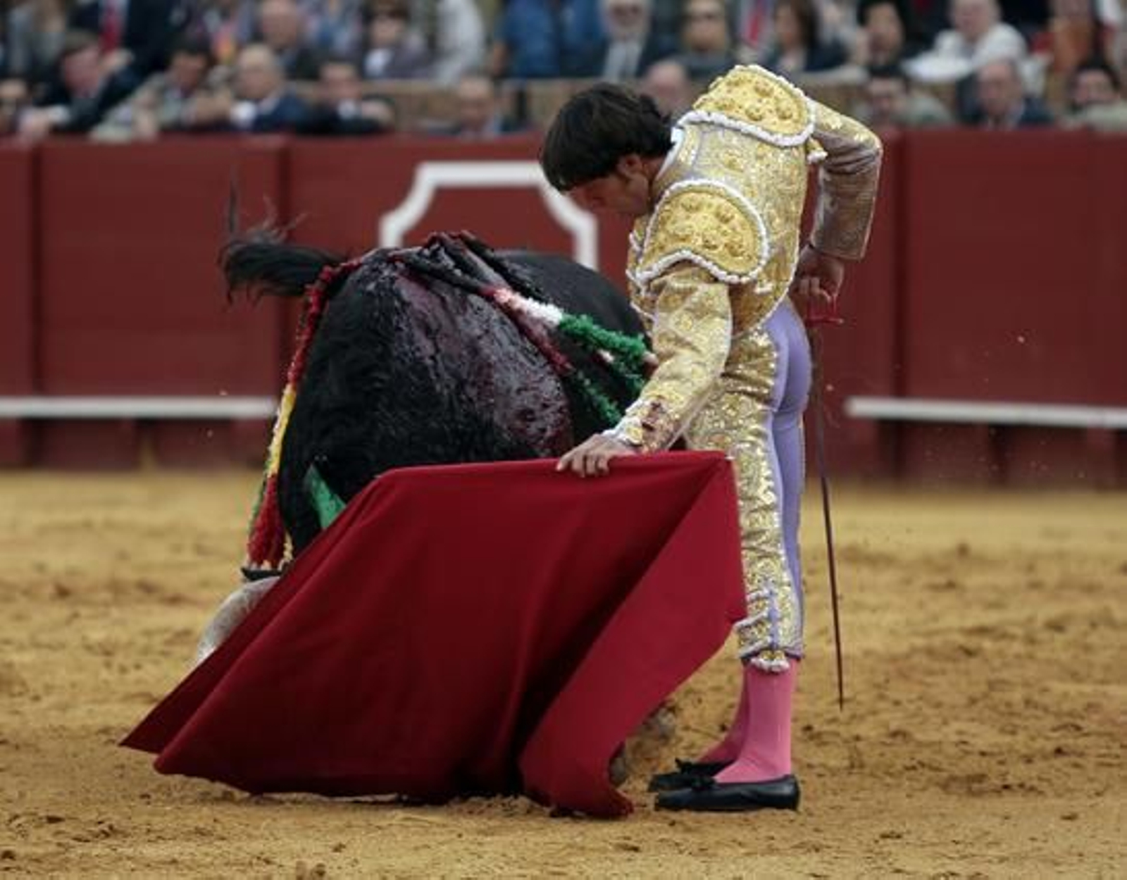 Antonio Nazaré con el segundo toro de la tarde.

Foto: Juan Carlos Muñoz