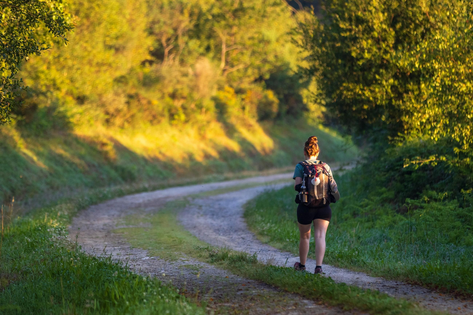 8º Un nuevo día en el Camino.jpg