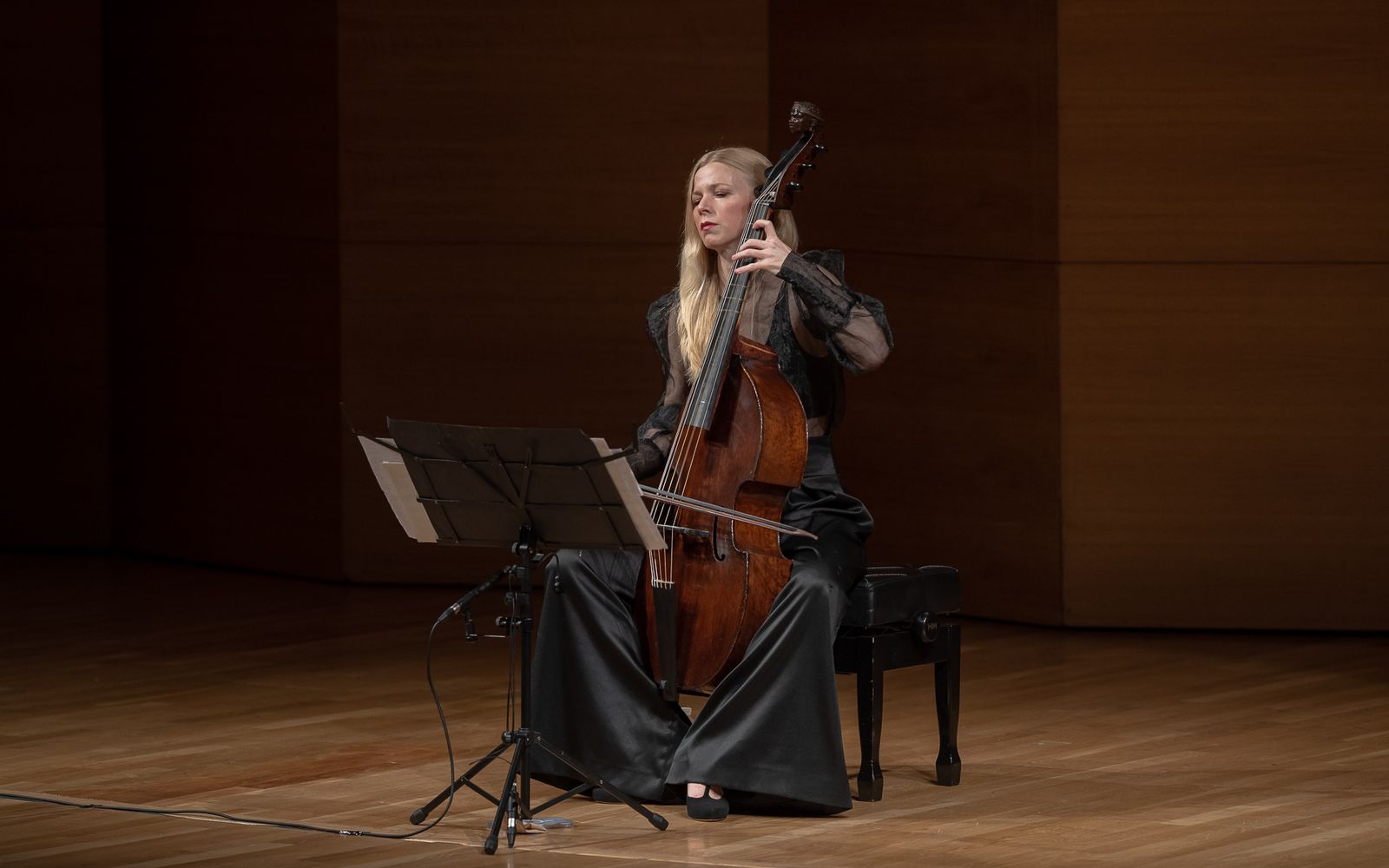 Johanna Rose con su viola de seis cuerdas en el Espacio Turina.