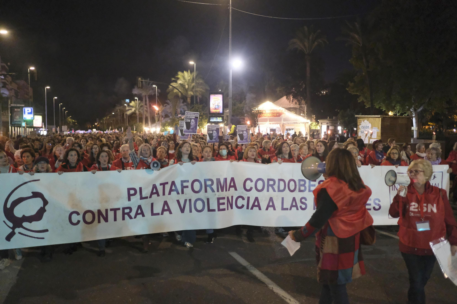 La manifestación en Córdoba contra la violencia de género, en fotografías