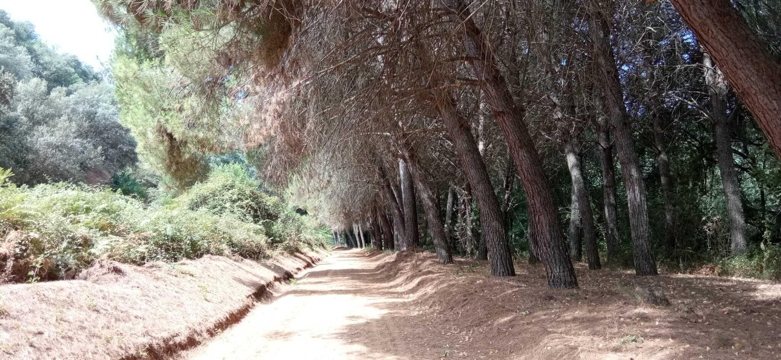 Ruta del Molino del Corcho