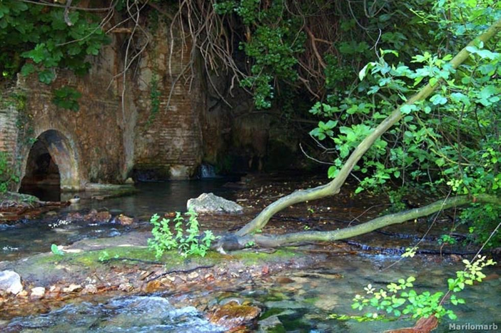 Nacimiento de Riofrío.