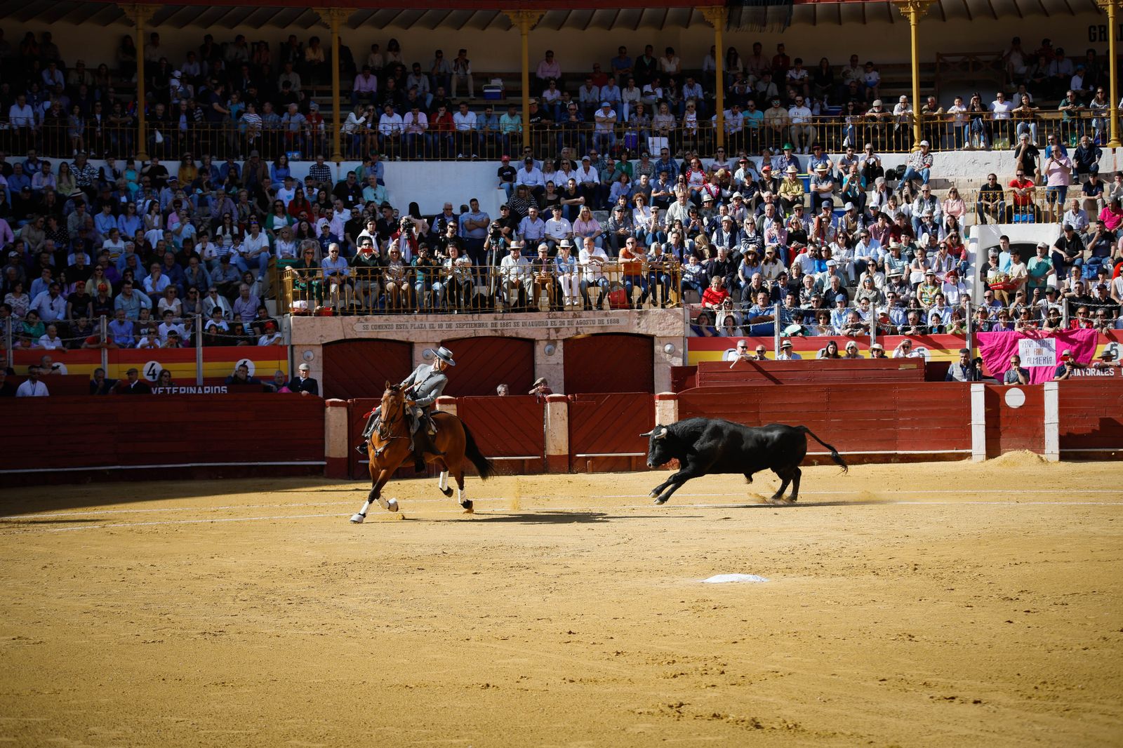 Imágenes del festival mixto lucha contra el cáncer