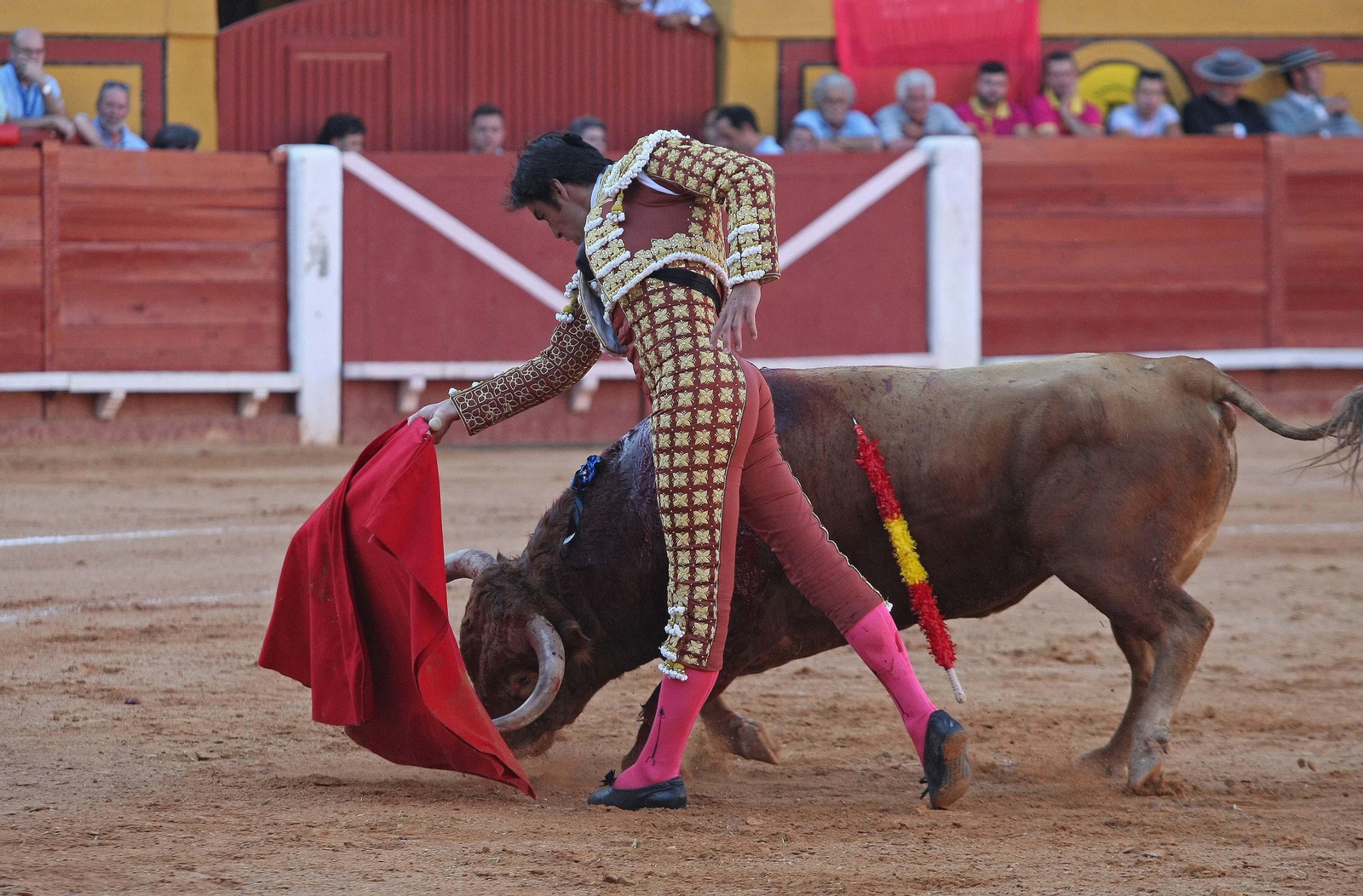 Las imágenes de la reaparición de José Tomás en Algeciras