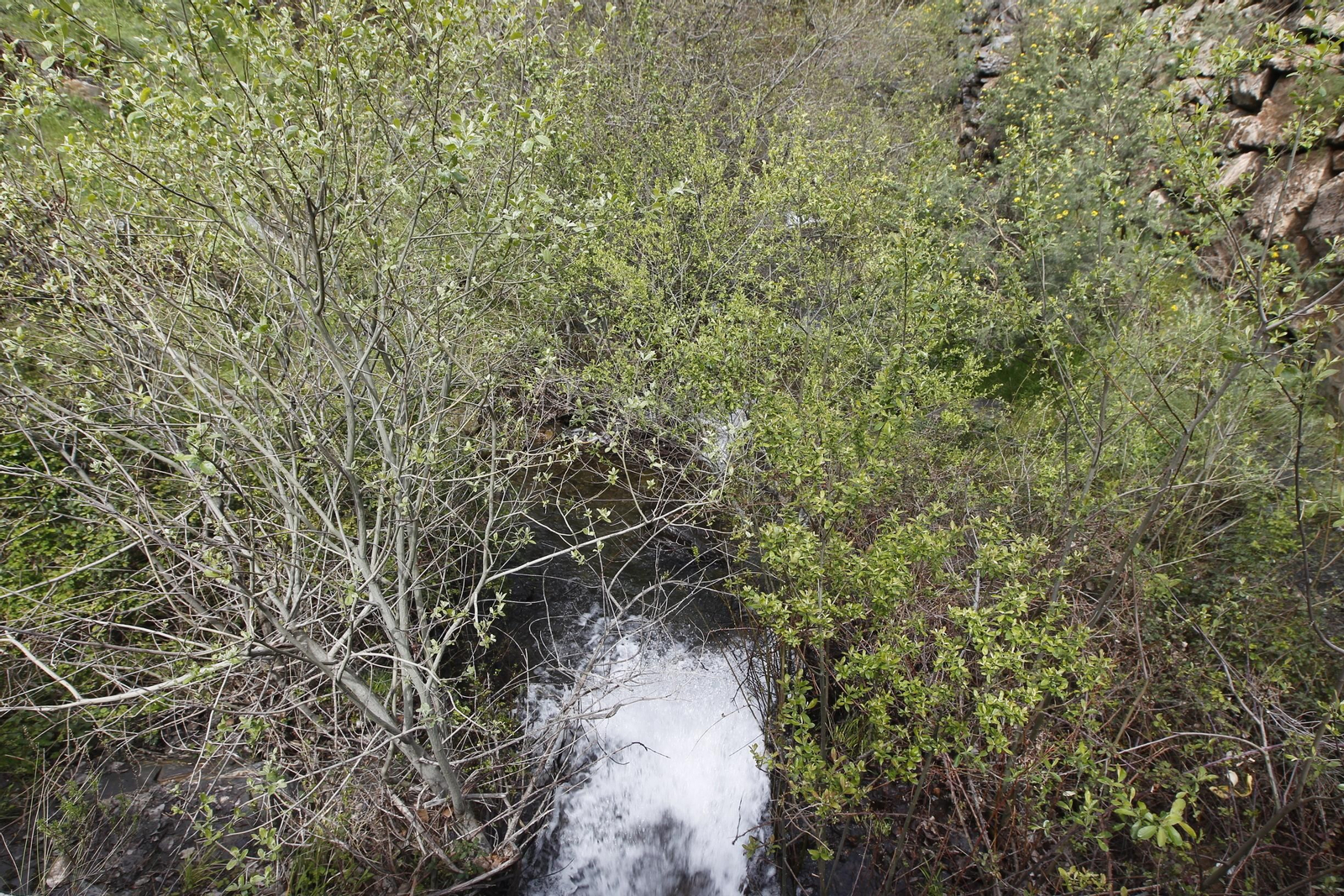 Naturaleza desconfinada. La Roza (Abrucena)