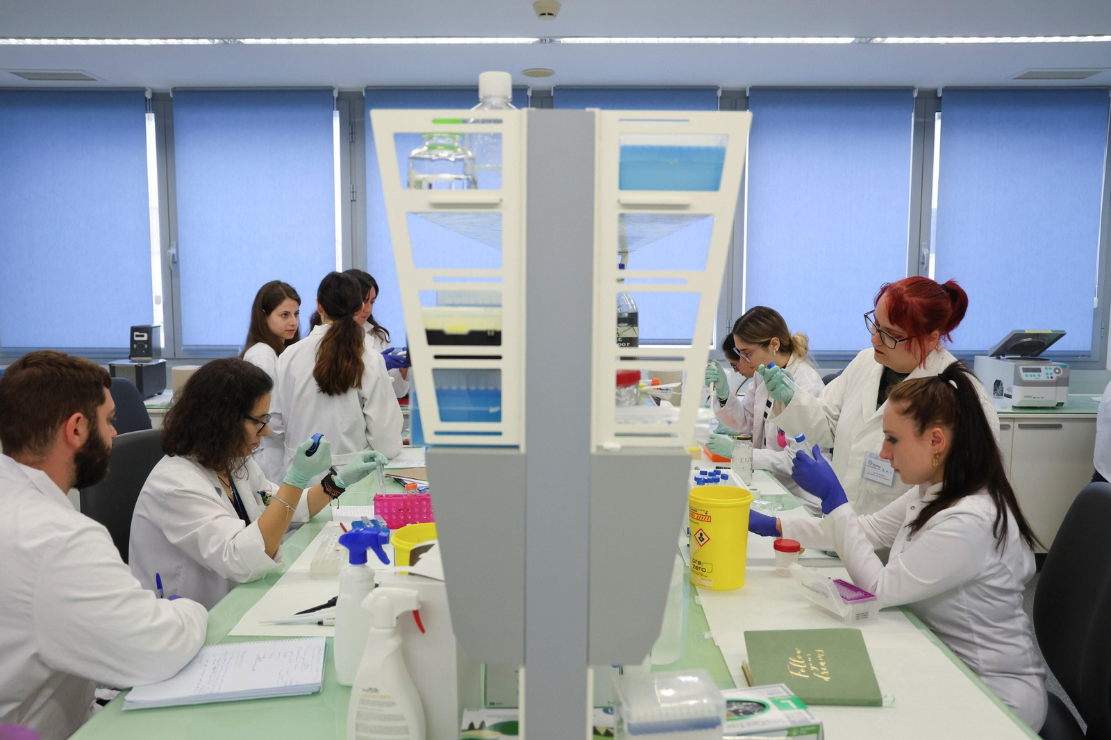 Profesionales de un grupo de investigación, trabajando en el edificio de Ibima-Plataforma Bionand, del PTA. Profesionales de un grupo de investigación, trabajando en el edificio de Ibima-Plataforma Bionand, del PTA.