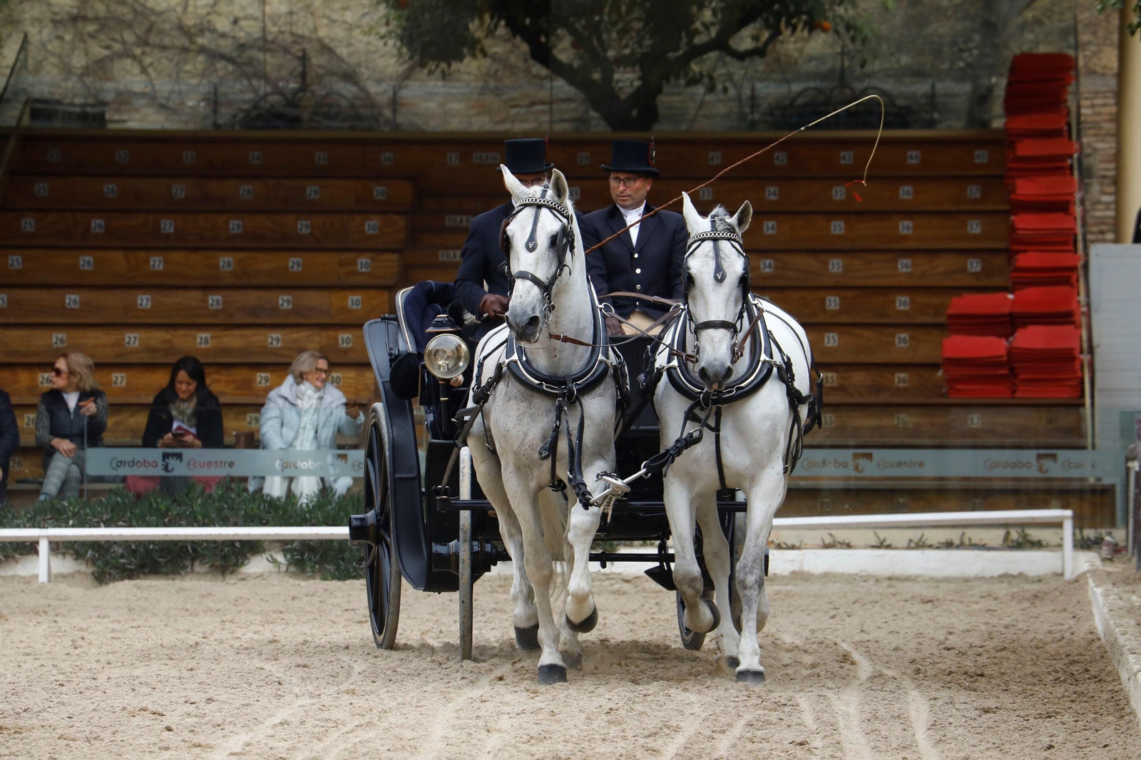 La exhibición de enganches en Caballerizas Reales de Córdoba, en imágenes