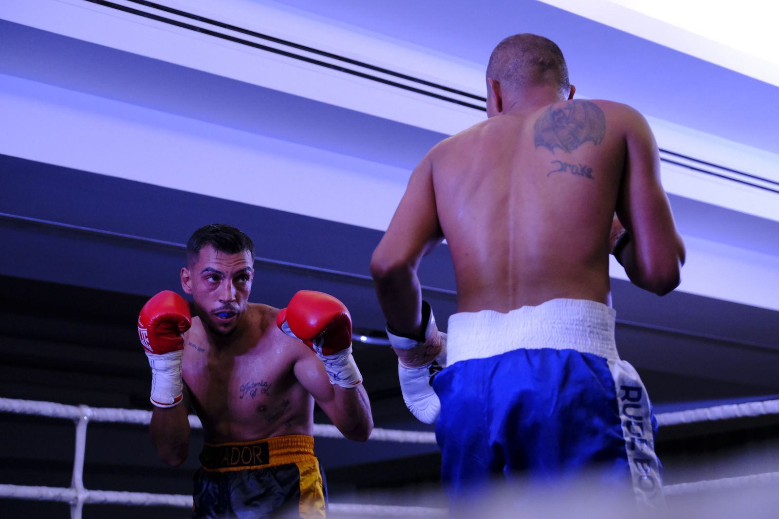 Fotogalería de la velada de boxeo Diamonds Boxing