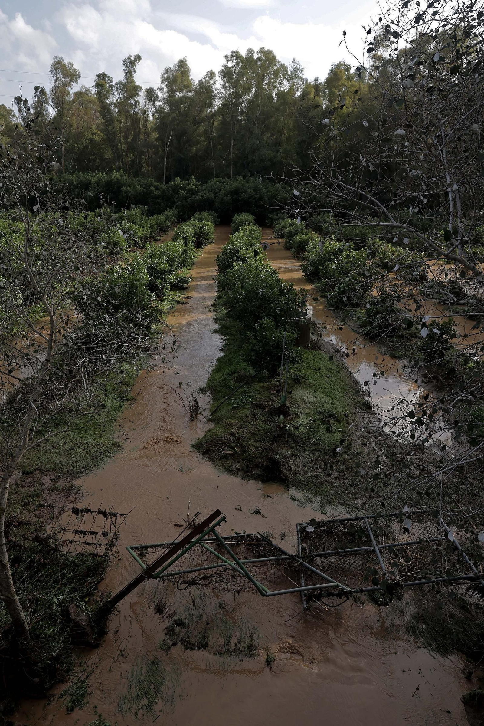 Fotos de la inundaciones en San Pablo de Buceite por la DANA