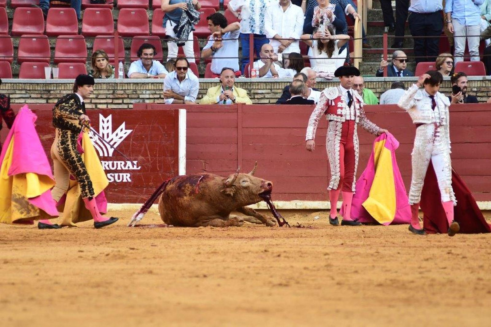 Tarde de sábado en Los Califas