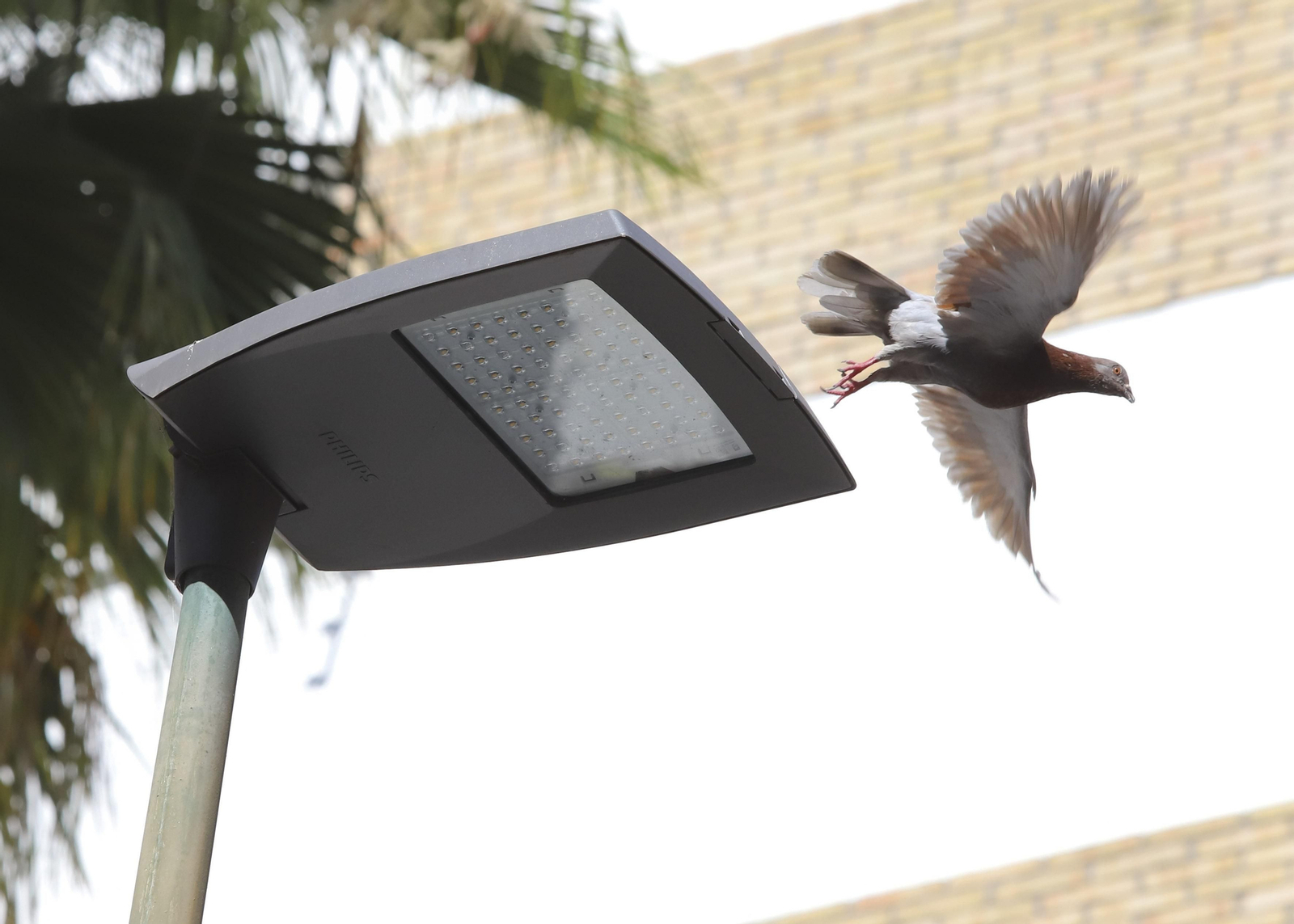 Las fotos de Ciudad Jardín