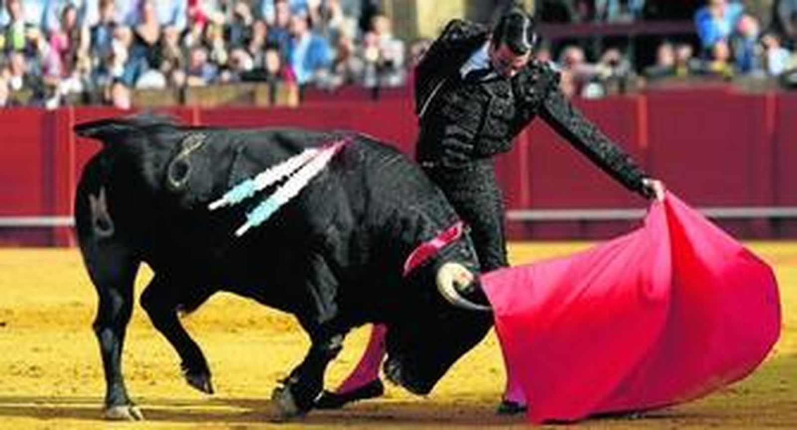 Manzanares, en un natural al segundo toro, 'Encumbrado', de Núñez del Cuvillo, que dio buen juego y fue ovacionado en el arrastre.