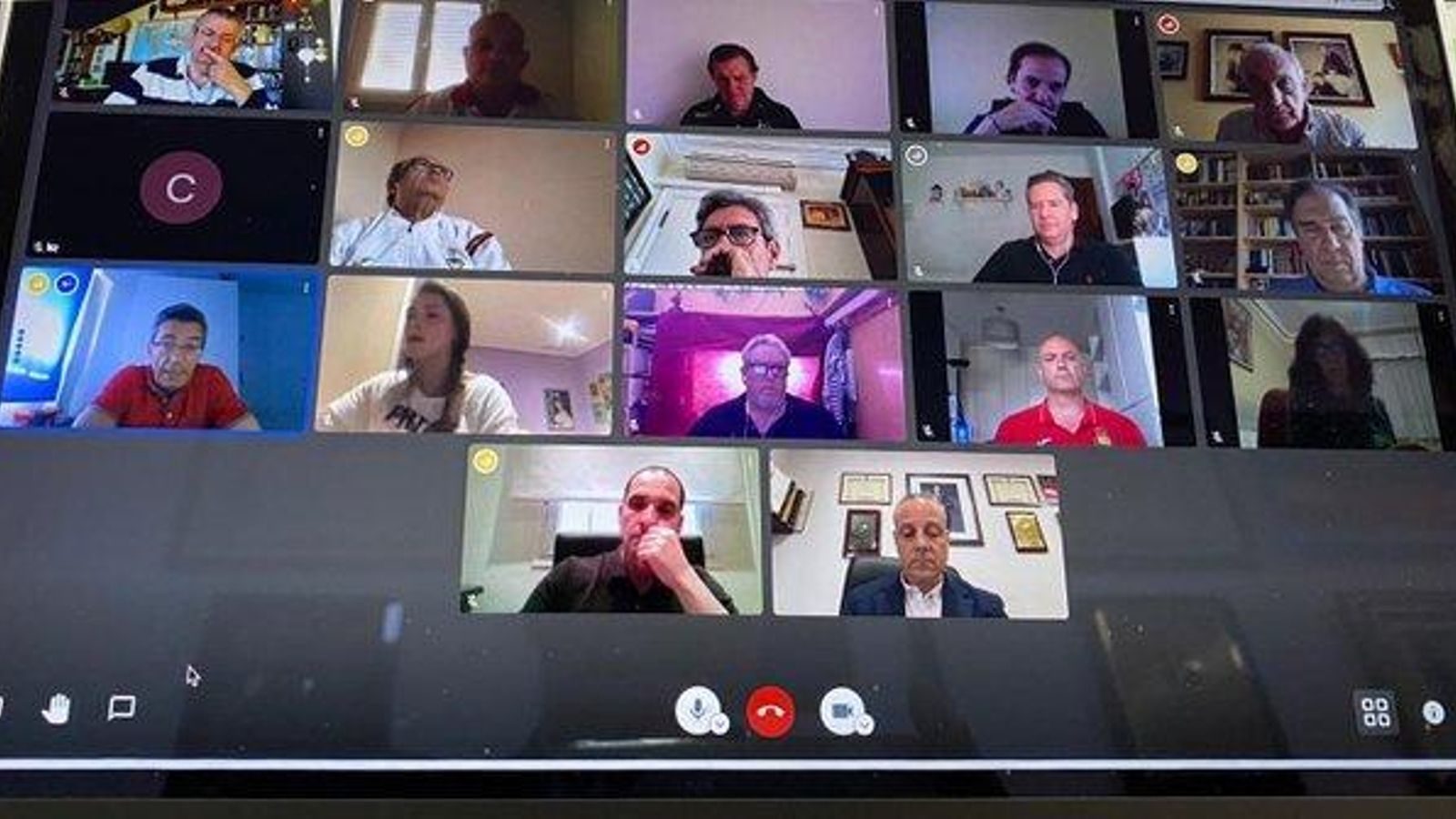Imagen de la reunión telemática de la Comisión Delegada de la Federación Española.