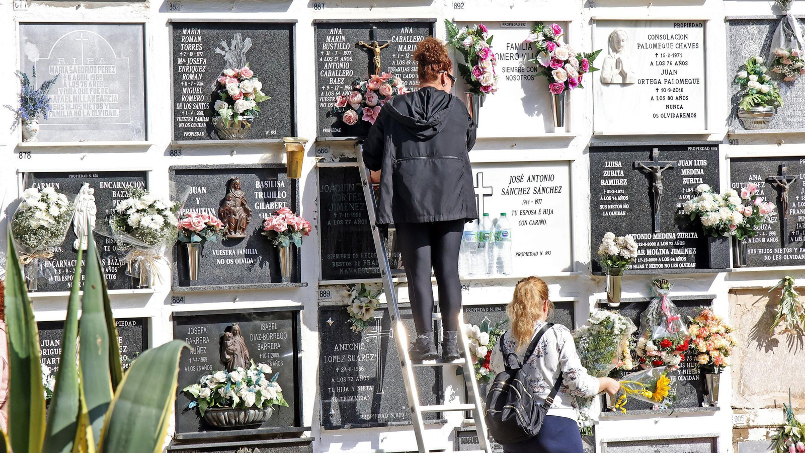 Imágenes del cementerio de Jerez en el Día de los Fieles Difuntos