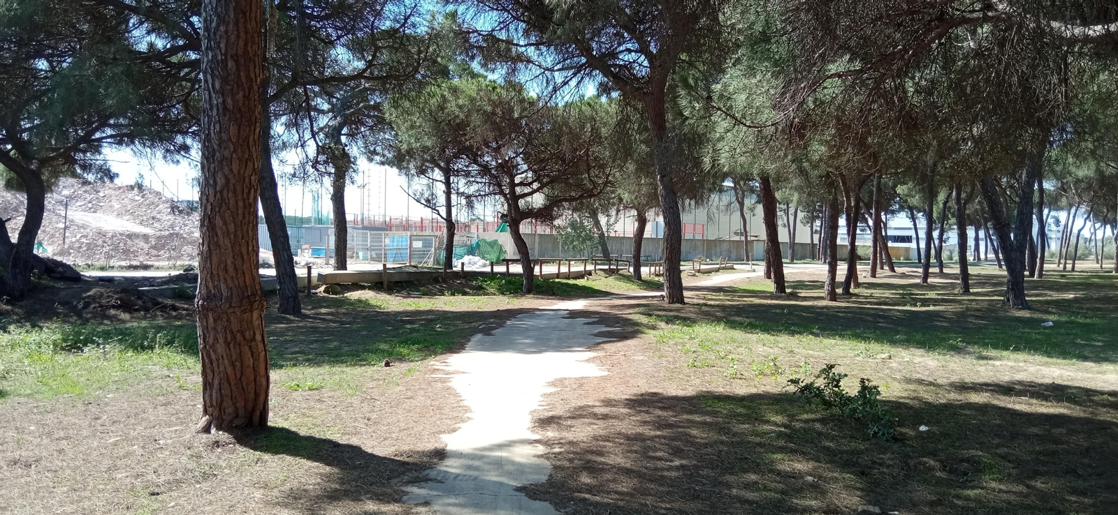 Las imágenes de la ruta de las salinas del Astur y los pinares de Punta Umbría