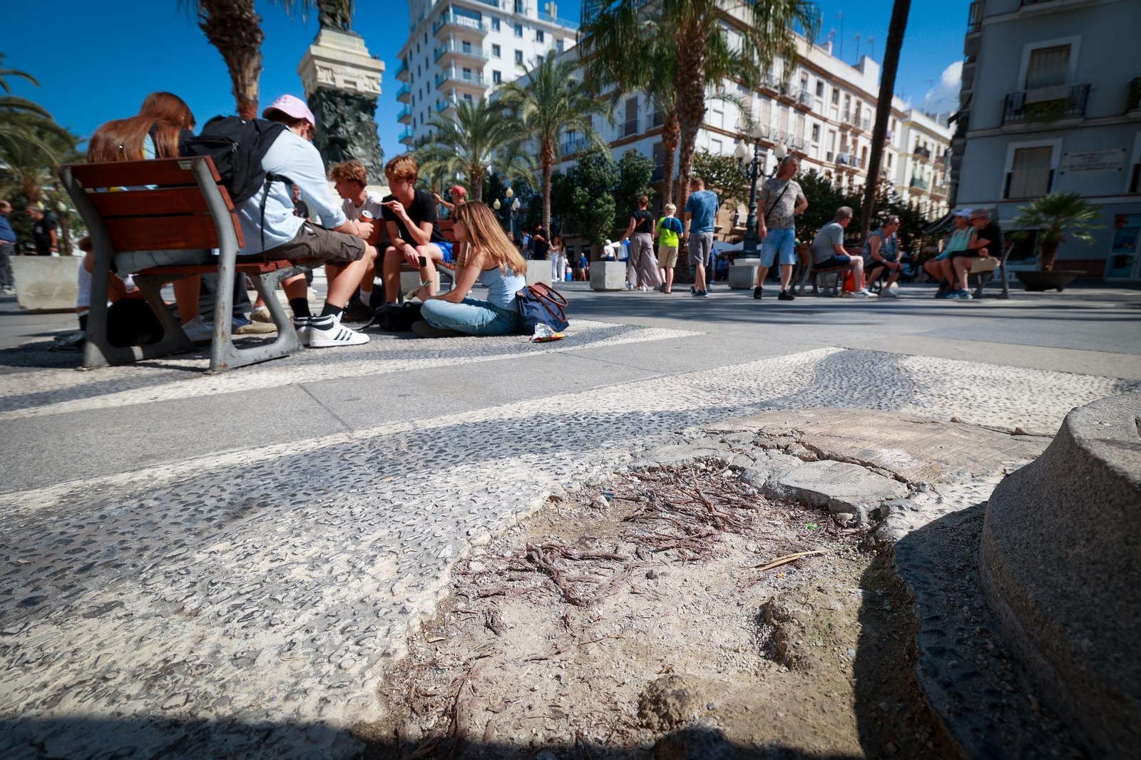 Así están las principales plazas de la ciudad de Cádiz