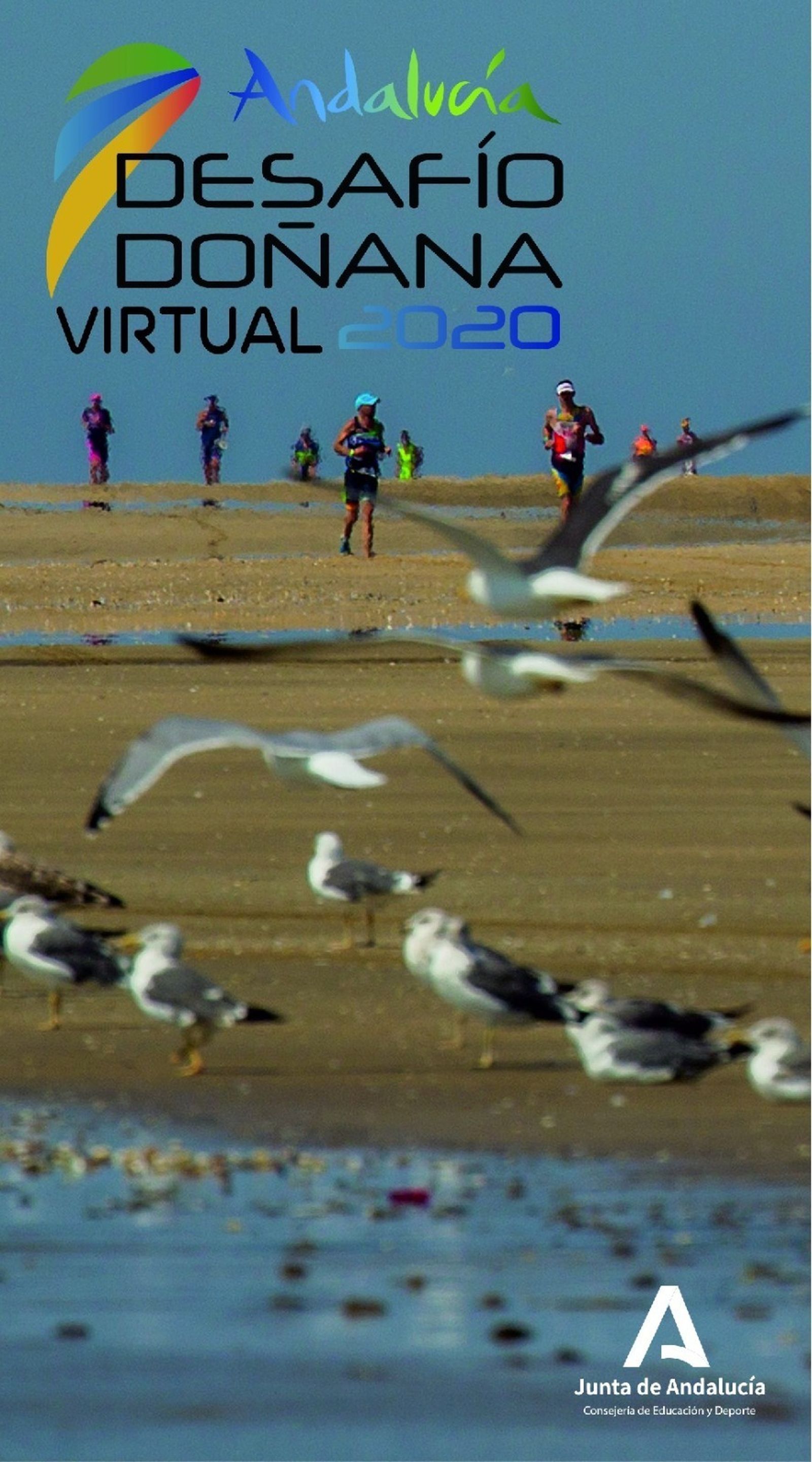 Cartel del Desafío Virtual 2020.