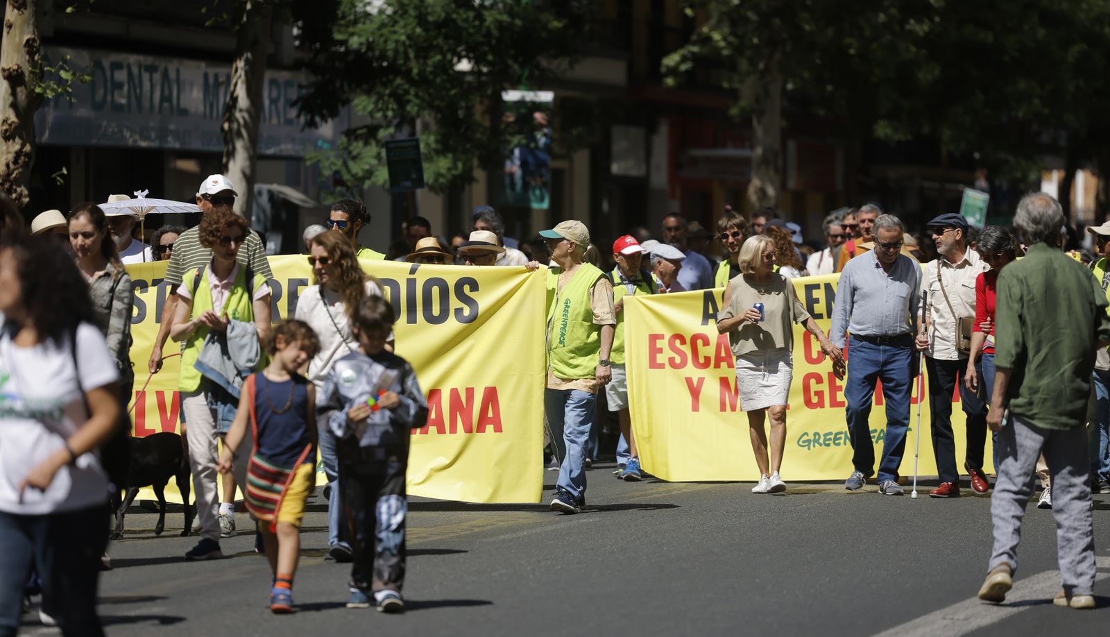 Las fotos de la manifestación en defensa de Doñana