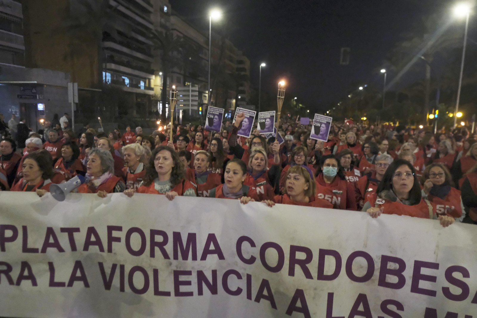 La manifestación en Córdoba contra la violencia de género, en fotografías