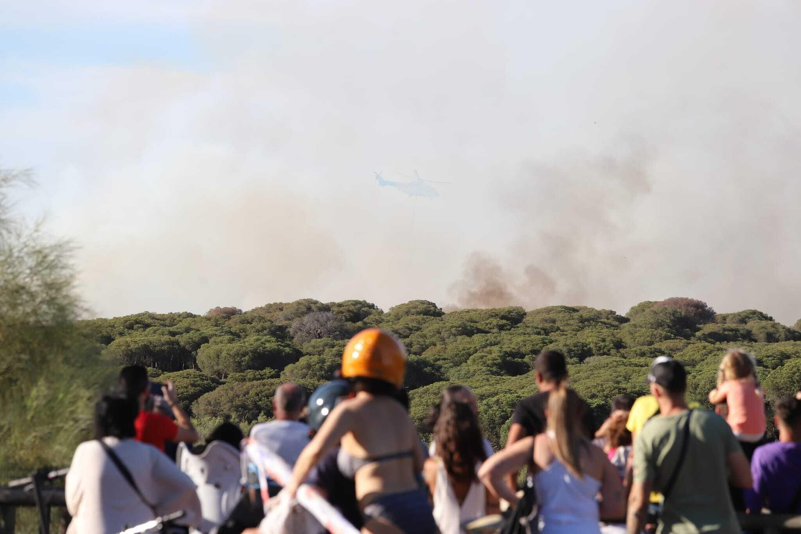 Fuego en la laguna del Portil: las imágenes del incendio
