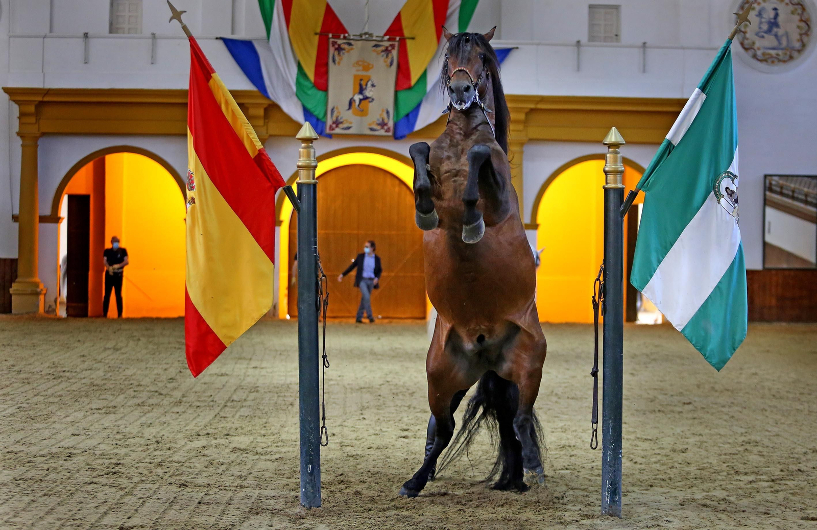 Real Escuela de Arte Ecuestre,Coronavirus