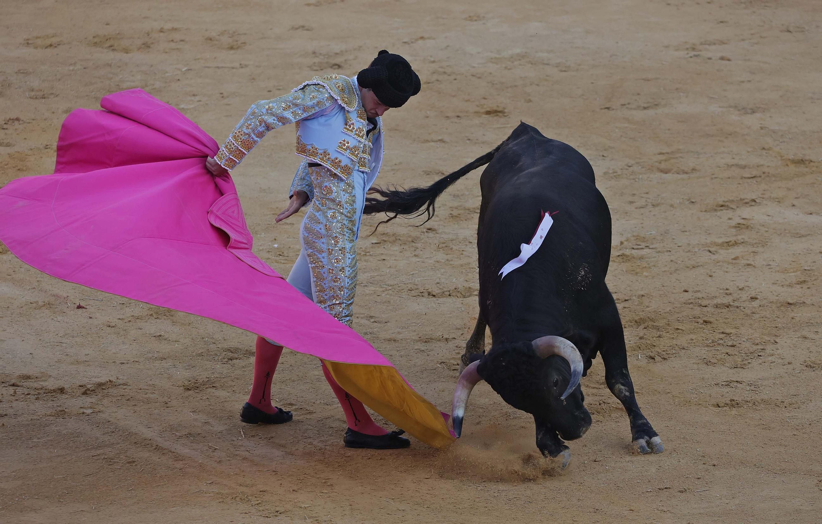 Fotos de la novillada sin picadores del miércoles de la Feria Real de Algeciras 2025