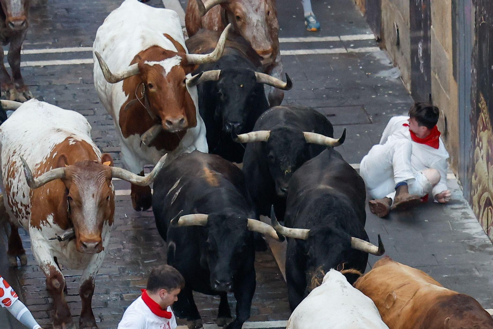 La bravura de Tarifa se hace notar en Pamplona: tres heridos en un encierro con toros de La Palmosilla