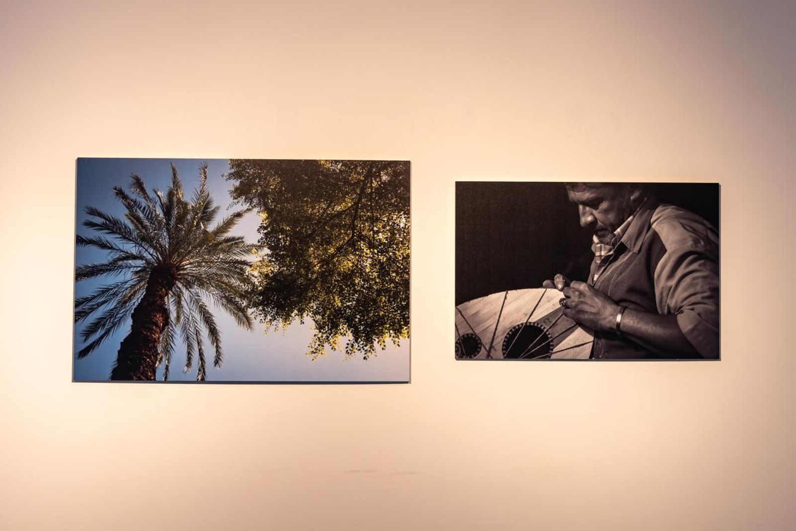 Egipto en Jaén: los bosques sagrados del país del Nilo cobran vida en imágenes