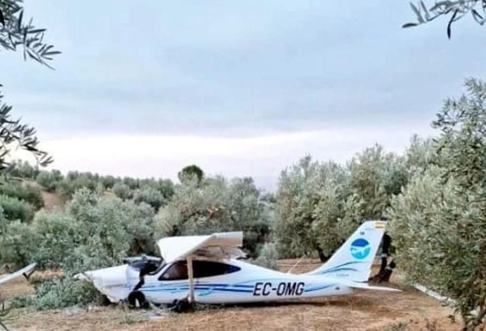 Imagen de la avioneta siniestrada en Periana