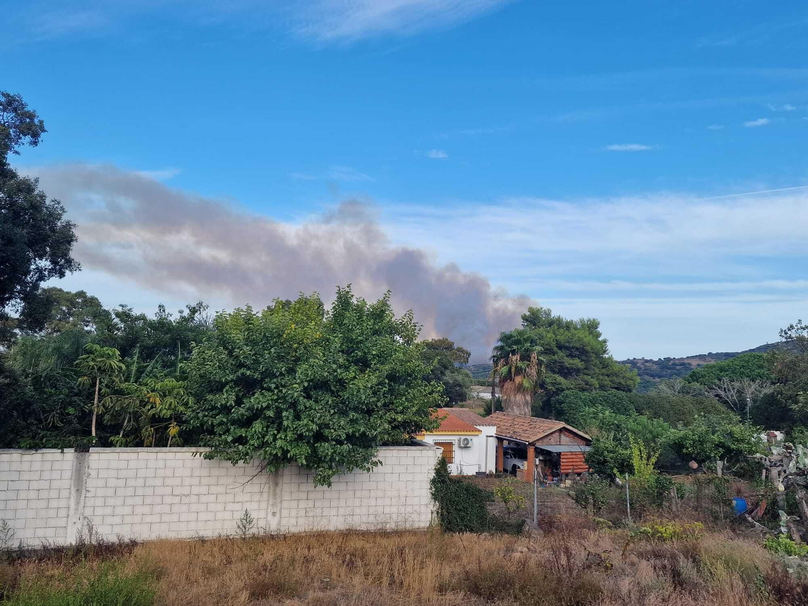 Las fotos del incendio entre las Pantallas y la Marchenilla, en Algeciras